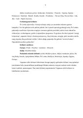 Turistinių firmų aprašymas 9 puslapis