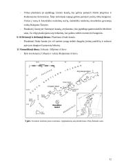 Turizmas Antarktidoje 11 puslapis