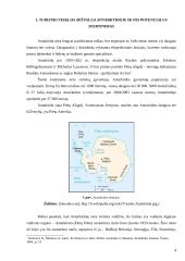 Turizmas Antarktidoje 3 puslapis