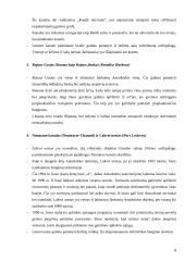 Turizmas Antarktidoje 7 puslapis