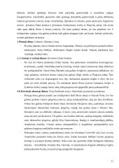 Turizmas Antarktidoje 10 puslapis