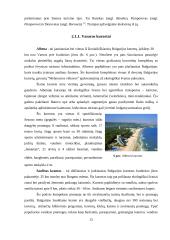 Turizmas Bulgarijoje 12 puslapis