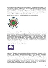 Turizmas įgyvendinant darnią plėtrą 13 puslapis