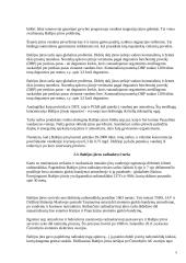 Turizmas įgyvendinant darnią plėtrą 6 puslapis