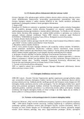 Turizmas įgyvendinant darnią plėtrą 9 puslapis