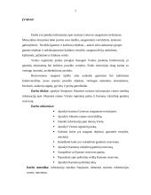 Turizmas Naujojo Akmenėje 2 puslapis