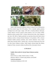 Turizmas Naujojo Akmenėje 12 puslapis