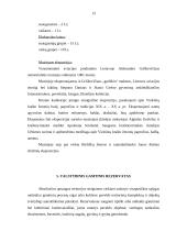 Turizmas Naujojo Akmenėje 14 puslapis