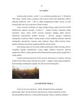 Turizmas Naujojo Akmenėje 17 puslapis