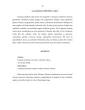 Turizmas Naujojo Akmenėje 19 puslapis