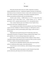 Turizmas Naujojo Akmenėje 20 puslapis