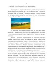 Turizmas Naujojo Akmenėje 3 puslapis