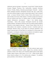 Turizmas Naujojo Akmenėje 4 puslapis