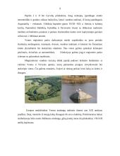 Turizmas Naujojo Akmenėje 10 puslapis