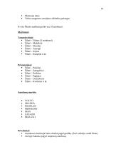 Turizmas Šilutėje 16 puslapis