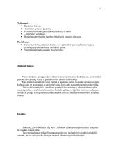 Turizmas Šilutėje 17 puslapis