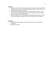 Turizmas Šilutėje 6 puslapis