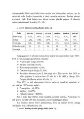 Turizmo istorija 11 puslapis