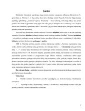 Turizmo įtaka Lietuvos ekonomikai 2 puslapis