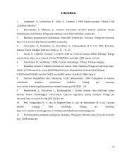 Turizmo įtaka Lietuvos ekonomikai 13 puslapis