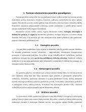 Turizmo įtaka Lietuvos ekonomikai 3 puslapis