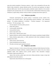 Turizmo įtaka Lietuvos ekonomikai 4 puslapis