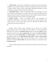 Turizmo įtaka Lietuvos ekonomikai 5 puslapis