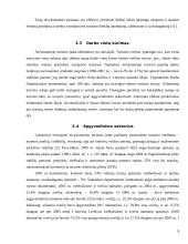 Turizmo įtaka Lietuvos ekonomikai 9 puslapis