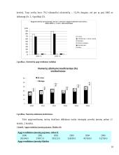 Turizmo įtaka Lietuvos ekonomikai 10 puslapis