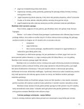 Turizmo paslaugų vartotojų teisės 11 puslapis