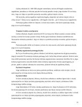 Turizmo paslaugų vartotojų teisės 14 puslapis