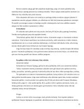 Turizmo paslaugų vartotojų teisės 16 puslapis