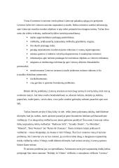 Turizmo problemos analizė 4 puslapis