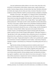 Turizmo problemos analizė 7 puslapis