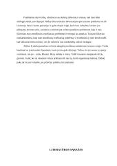 Turizmo problemos analizė 9 puslapis