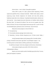 Turizmo rinkodara 2 puslapis