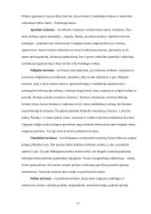 Turizmo rinkodara 13 puslapis