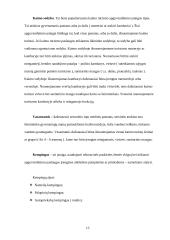 Turizmo rinkodara 15 puslapis