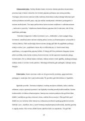 Turizmo rinkodara 18 puslapis