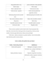 Turizmo rinkodara 10 puslapis