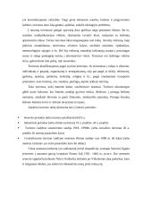 Turizmo samprata ir raida 3 puslapis