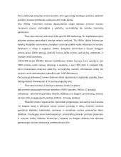 Turizmo samprata ir raida 7 puslapis