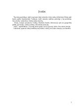 Turkija: turkų - kurdų etninis konfliktas 3 puslapis