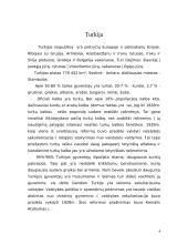 Turkija: turkų - kurdų etninis konfliktas 4 puslapis