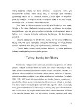 Turkija: turkų - kurdų etninis konfliktas 6 puslapis