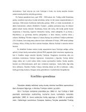 Turkija: turkų - kurdų etninis konfliktas 7 puslapis