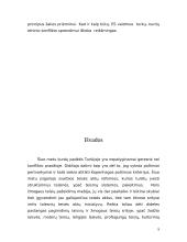 Turkija: turkų - kurdų etninis konfliktas 9 puslapis