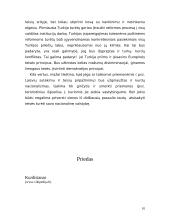 Turkija: turkų - kurdų etninis konfliktas 10 puslapis