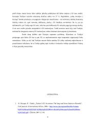 Turkijos perspektyvos Europos Sąjungoje (ES) 9 puslapis