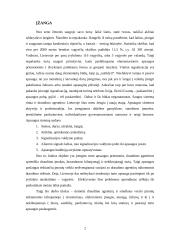 Turto apsaugos paslaugų galimybės ir trukdžiai 2 puslapis